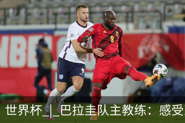 世界杯 | 巴拉圭队主教练：感受到比赛的极致压力