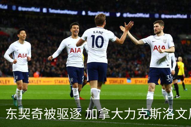 东契奇被驱逐 加拿大力克斯洛文尼亚晋级四强